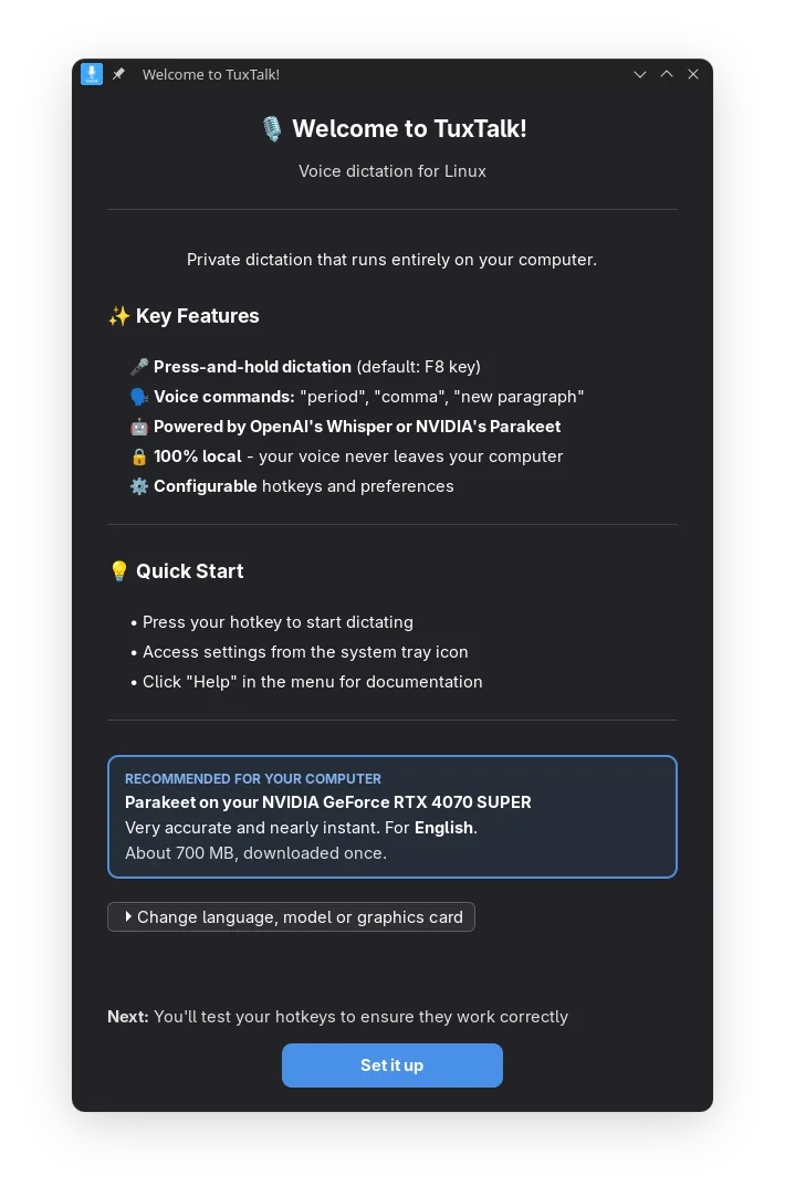 The first-run screen: a recommended setup naming the graphics card and the language, with a Download and Set Up button.